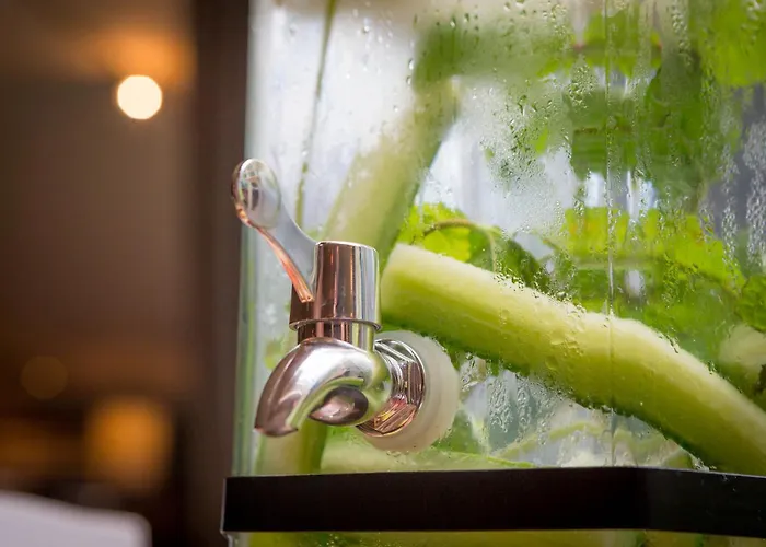 都柏林机场马尔丹酒店 4*